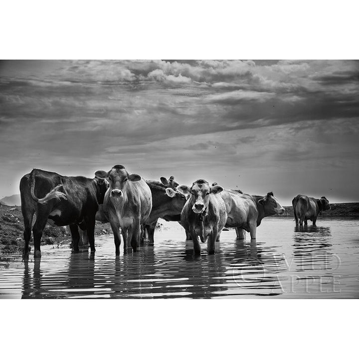 In The River Poster Print by Aledanda-VARPDX38316 Image 1