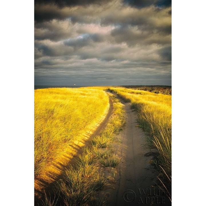 Down The Road Poster Print by Aledanda-VARPDX38322 Image 2