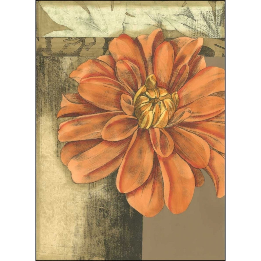 Small Ethereal Bloom II Poster Print - Jennifer Goldberger-VARPDX38367D Image 1