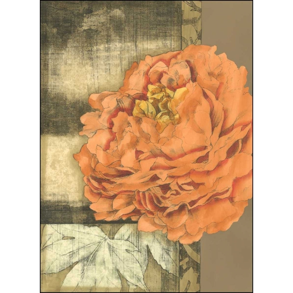 Small Ethereal Bloom III Poster Print - Jennifer Goldberger-VARPDX38368D Image 1