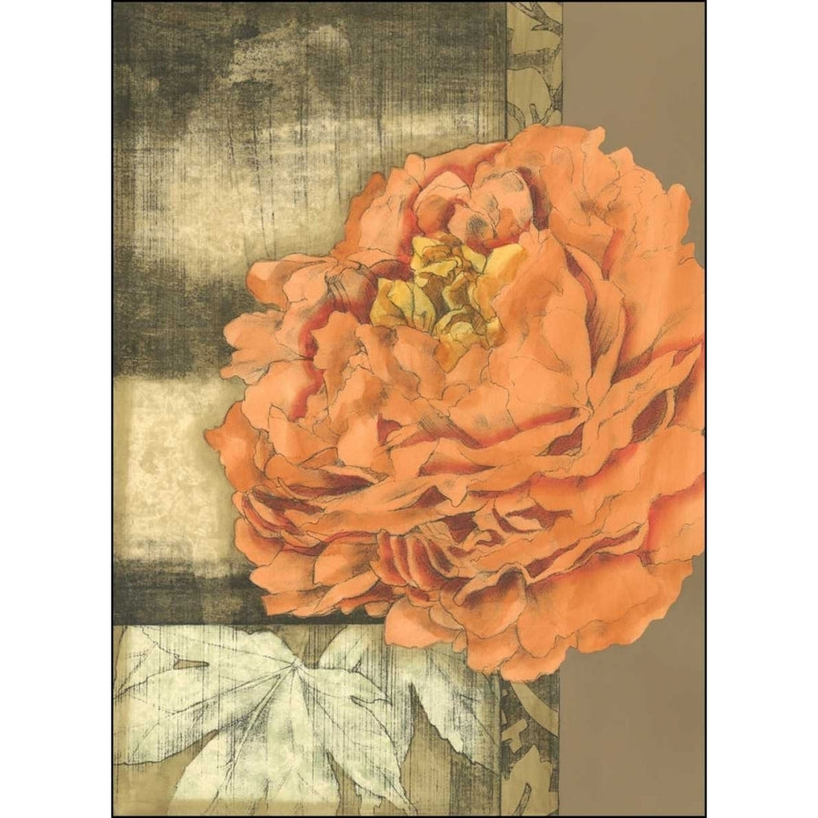 Small Ethereal Bloom III Poster Print - Jennifer Goldberger-VARPDX38368D Image 1