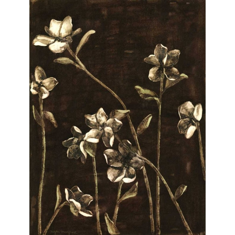 Medium Blossom Nocturne I Poster Print - Megan Meagher-VARPDX38466D Image 1