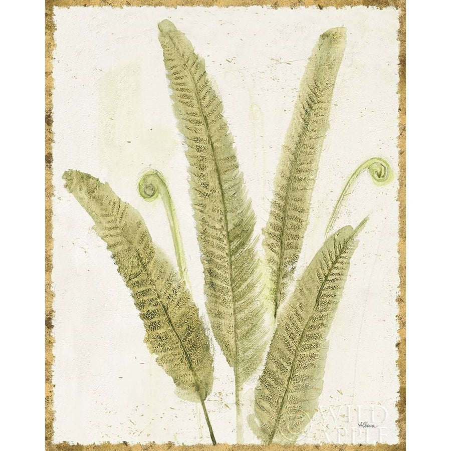 Forest Ferns II v2 Antique Poster Print by Albena Hristova-VARPDX38519 Image 1