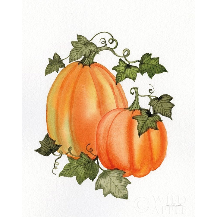 Pumpkin And Vines I Poster Print by Kathleen Parr McKenna-VARPDX38709 Image 1