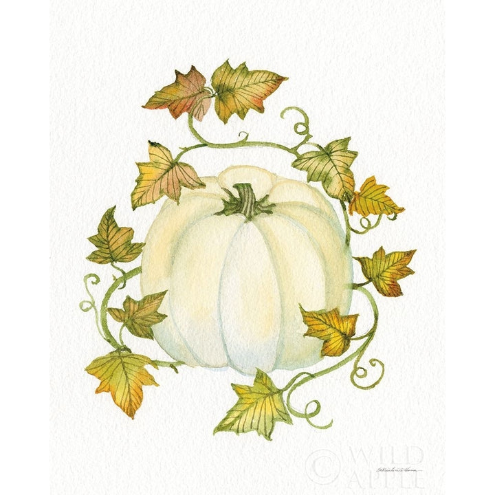 Pumpkin And Vines Iii Poster Print by Kathleen Parr McKenna-VARPDX38711 Image 1