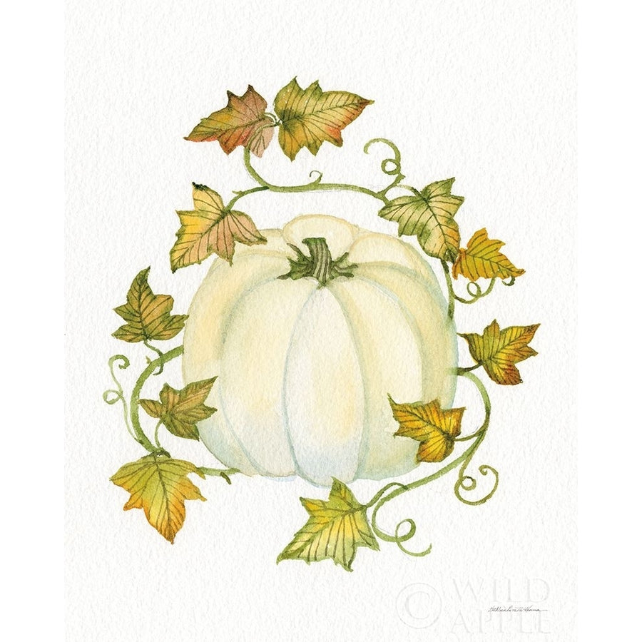 Pumpkin And Vines Iii Poster Print by Kathleen Parr McKenna-VARPDX38711 Image 1