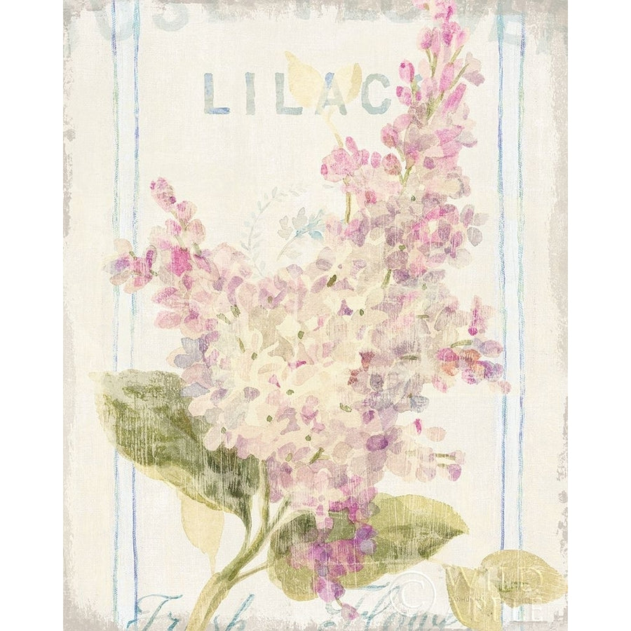 Floursack Florals V Poster Print by Danhui Nai-VARPDX38758 Image 1