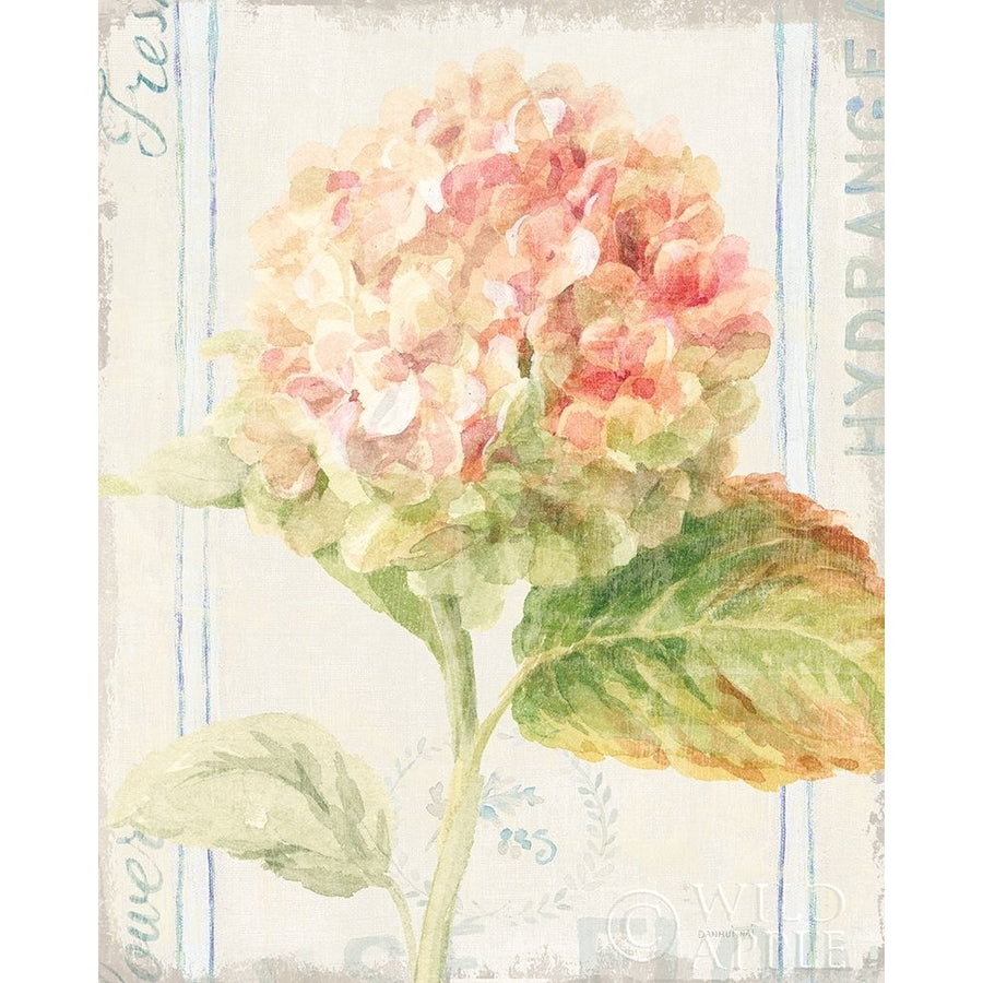 Floursack Florals VI Poster Print by Danhui Nai-VARPDX38759 Image 1