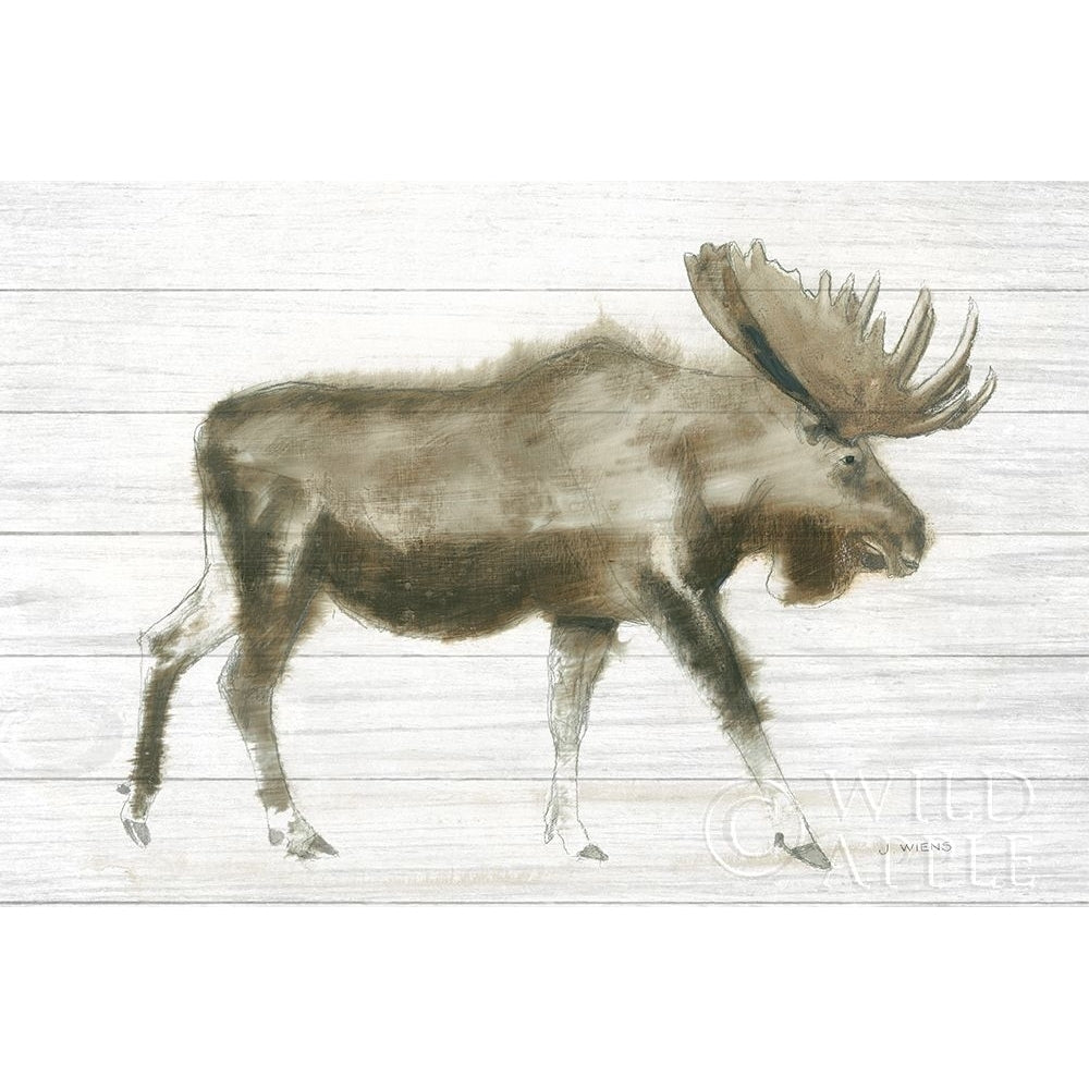 Dark Moose on Wood Crop Poster Print by James Wiens-VARPDX38831 Image 1