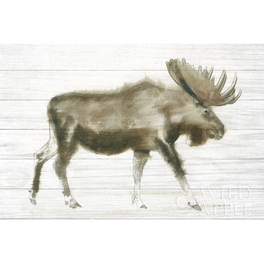 Dark Moose on Wood Crop Poster Print by James Wiens-VARPDX38831 Image 1