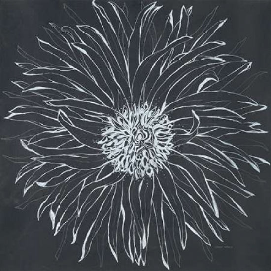 Chalk Bloom 1 Poster Print by Connor Adams-VARPDX391ADA1090 Image 1