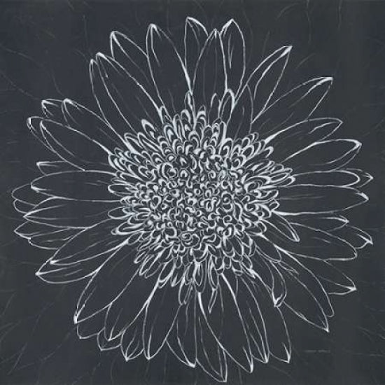 Chalk Bloom 2 Poster Print by Connor Adams-VARPDX391ADA1091 Image 2