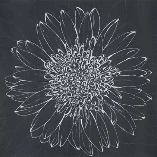 Chalk Bloom 2 Poster Print by Connor Adams-VARPDX391ADA1091 Image 1