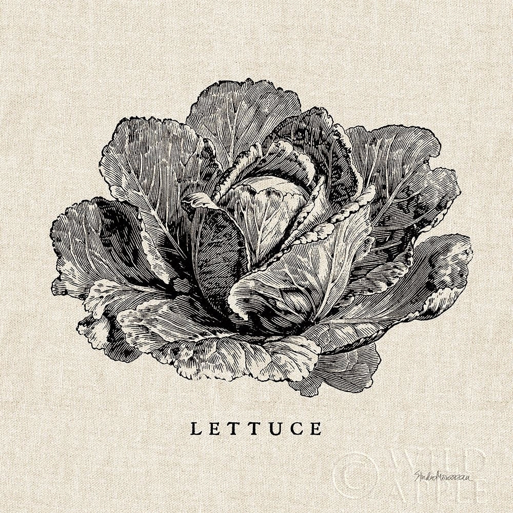 Burlap Vegetable BW Sketch Lettuce Poster Print by Studio Mousseau-VARPDX39347 Image 1