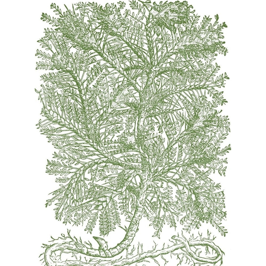 Mossy Branches IV Poster Print - Monceau Duhamel du-VARPDX39329D Image 1