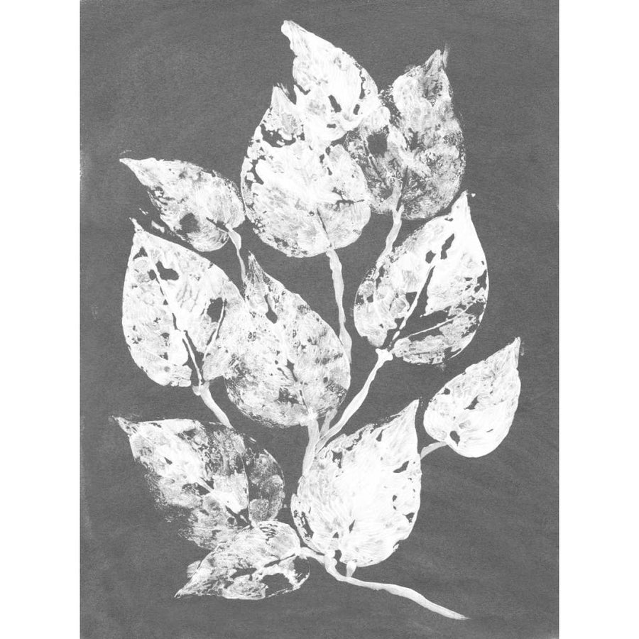 Frosty Philodendron I Poster Print - Alicia Ludwig-VARPDX39367D Image 1