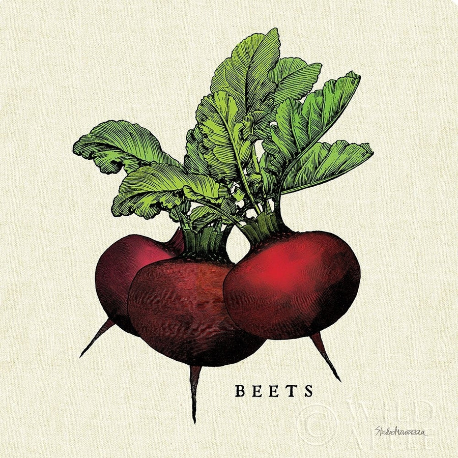 Linen Vegetable I v2 Poster Print by Studio Mousseau-VARPDX39373 Image 1