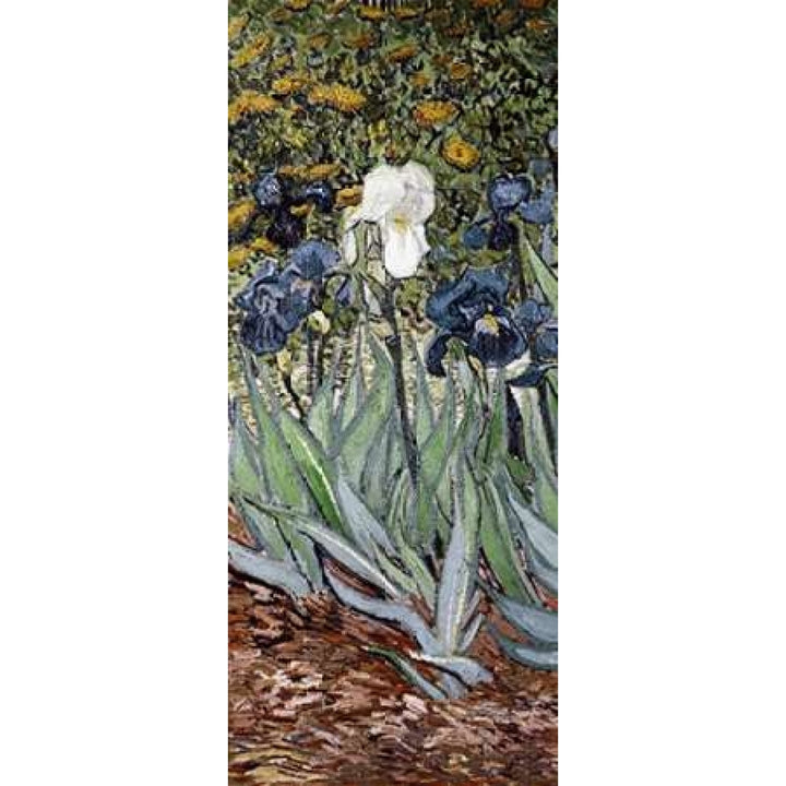 Irises - left Poster Print by Vincent Van Gogh-VARPDX394123 Image 1