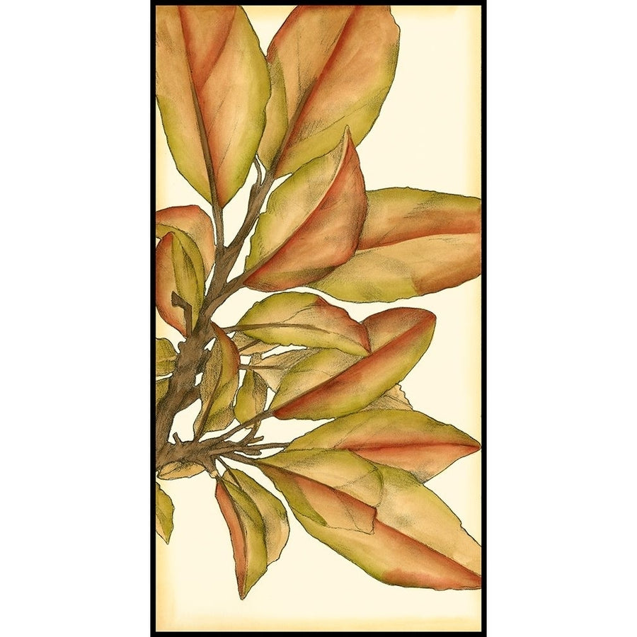 Small Gilded Leaves II Poster Print - Jennifer Goldberger-VARPDX39857D Image 1