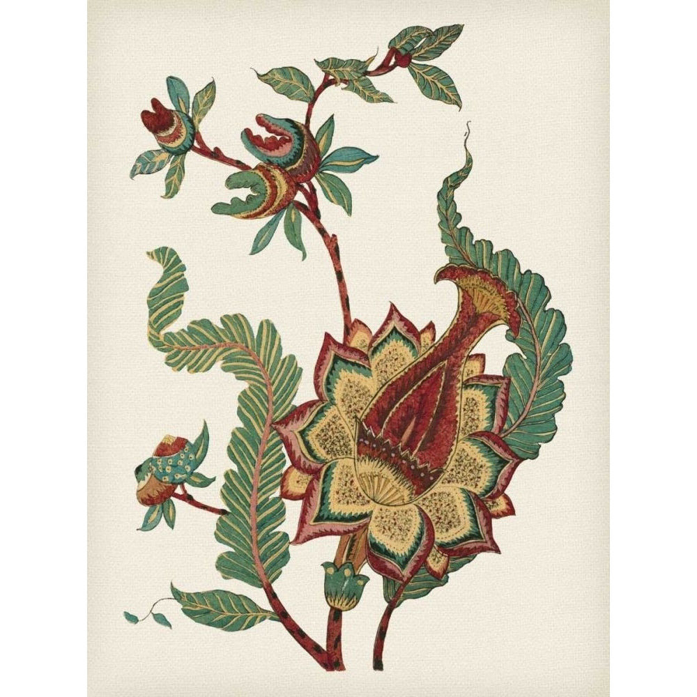 Small Jacobean Floral I Poster Print - Studio Vision-VARPDX39874D Image 1