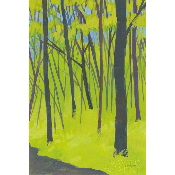 Spring Woods Poster Print by Kathrine Lovell-VARPDX39859 Image 1