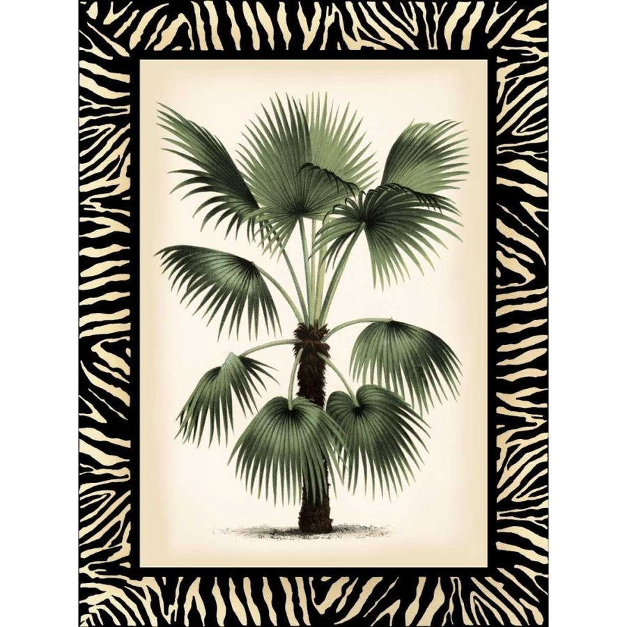 Small Palm in Zebra Border II Poster Print - Studio Vision-VARPDX39915D Image 1