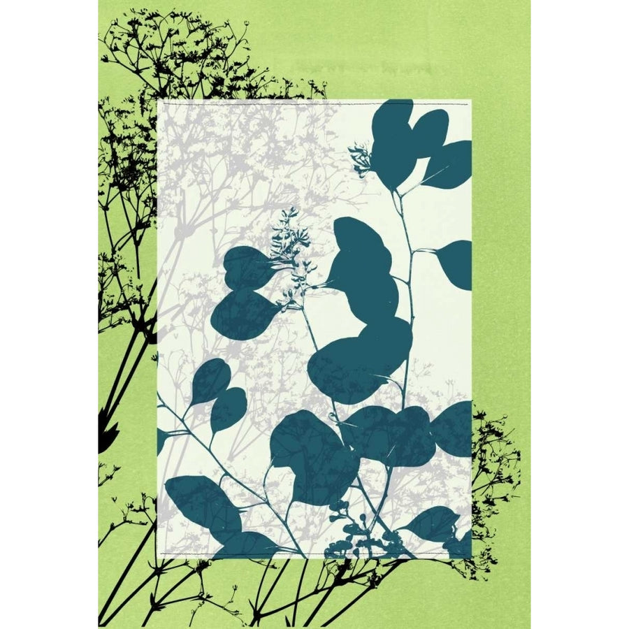 Small Translucent Wildflowers VIII Poster Print - Jennifer Goldberger-VARPDX39907D Image 1