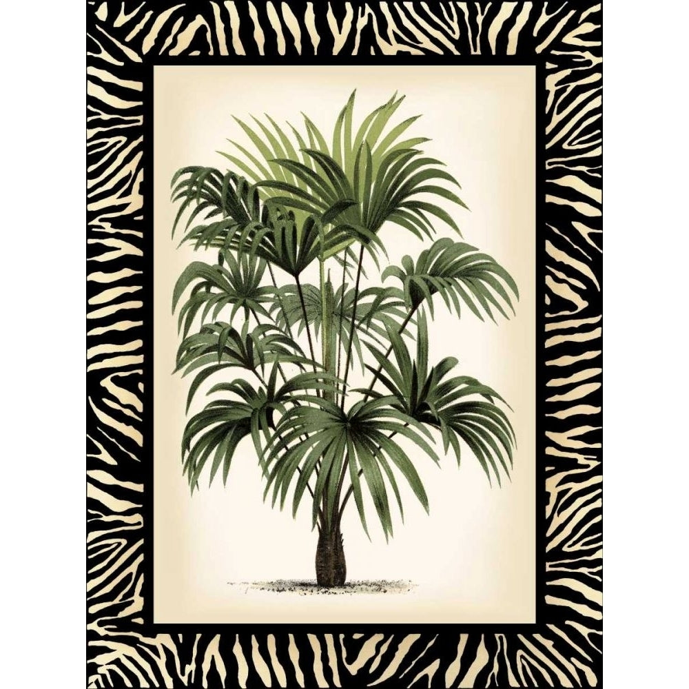 Small Palm in Zebra Border I Poster Print - Studio Vision-VARPDX39914D Image 1