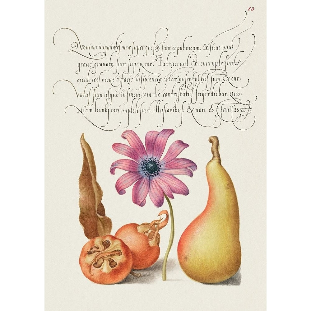 From the Model Book of Calligraphy-VIII by Bocskay Hoefnagel-VARPDX3AA5652 Image 1