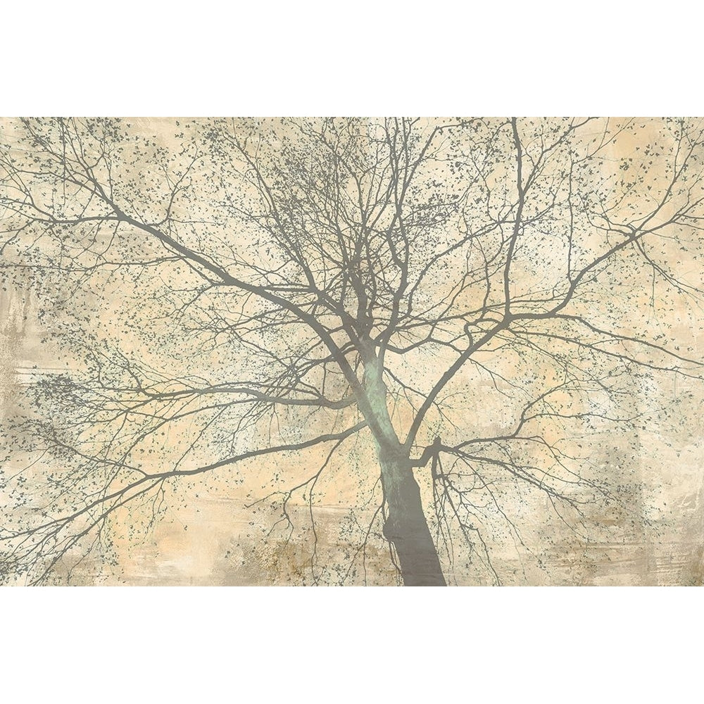 Below My Tree II Poster Print - Alessio Aprile-VARPDX3AI6377 Image 1