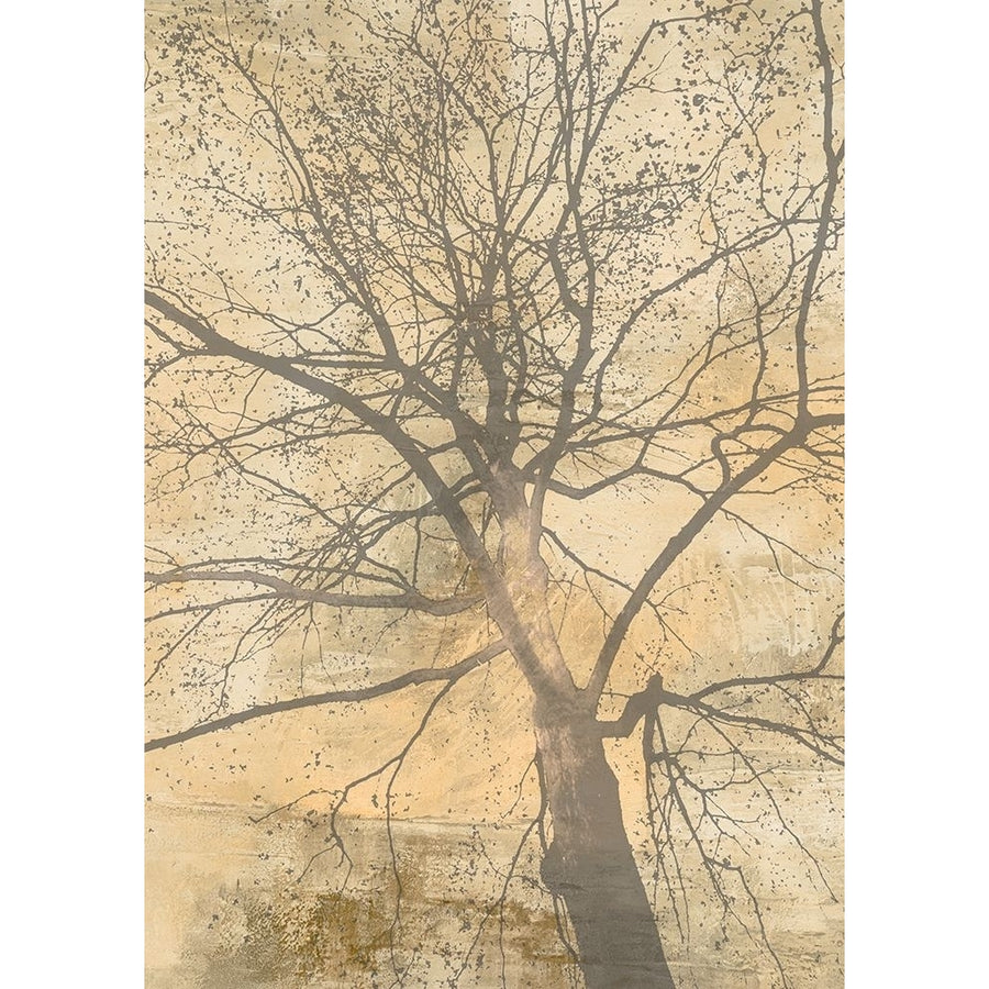 Below My Tree I Poster Print - Alessio Aprile-VARPDX3AI6376 Image 1