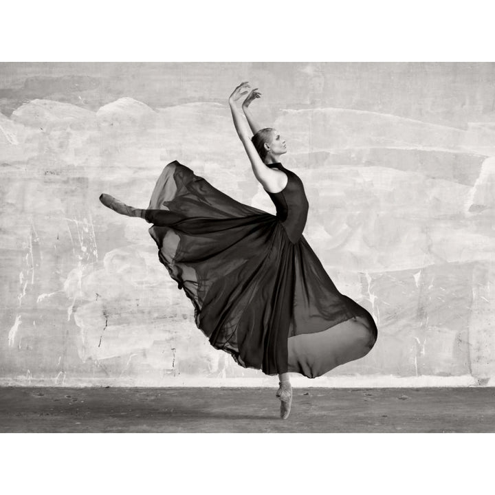 Ballerina Dancing Poster Print by Haute Photo Collection-VARPDX3AP4041 Image 1