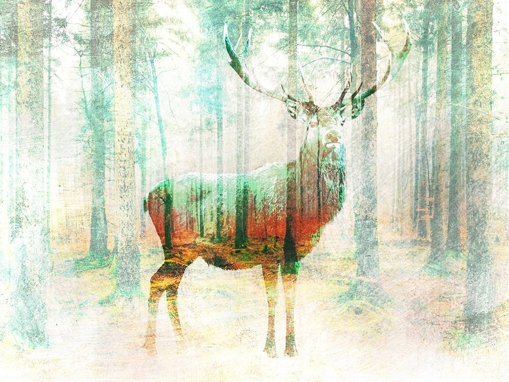 Lord of the Woods Poster Print by Arlo Wren Photos-VARPDX3AP4528 Image 1