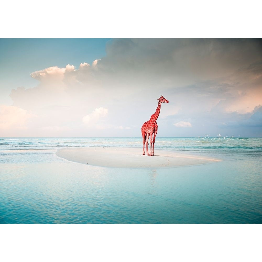 Oceanic Savannah Poster Print by Arlo Wren Photos-VARPDX3AP4334 Image 1