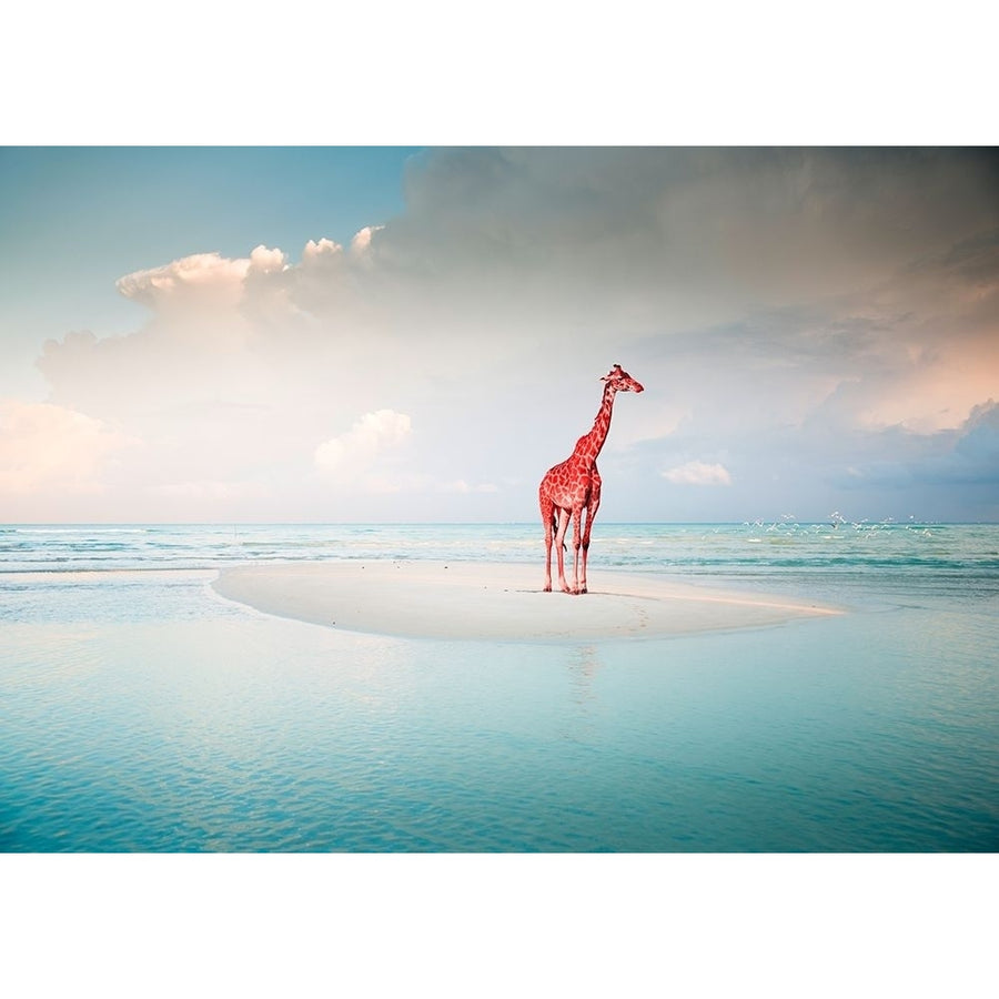 Oceanic Savannah Poster Print by Arlo Wren Photos-VARPDX3AP4334 Image 1