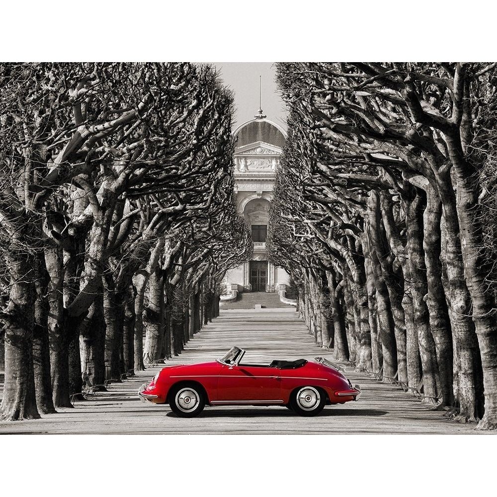 Roadster in tree lined road Paris Poster Print by Gasoline Images Gasoline Images-VARPDX3AP4864 Image 1