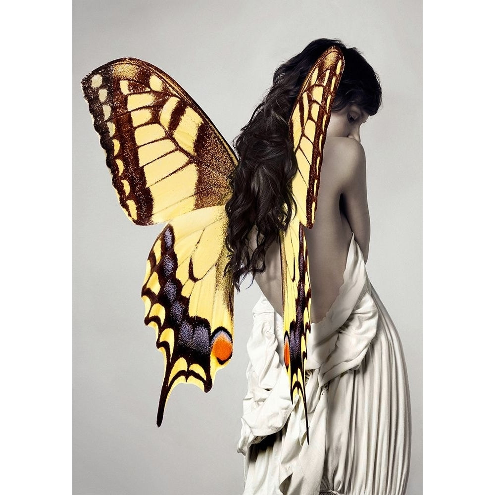 Winged Beauty -3 Poster Print by Julian Lauren-VARPDX3AP5074 Image 1