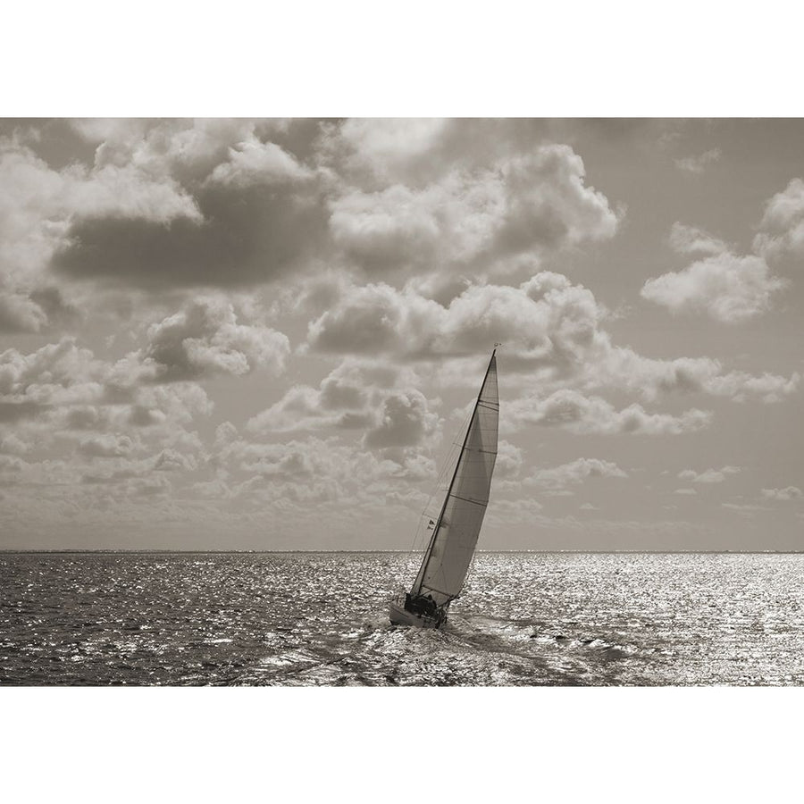 Sailing Poster Print by Pangea Images Pangea Images-VARPDX3AP5153 Image 1