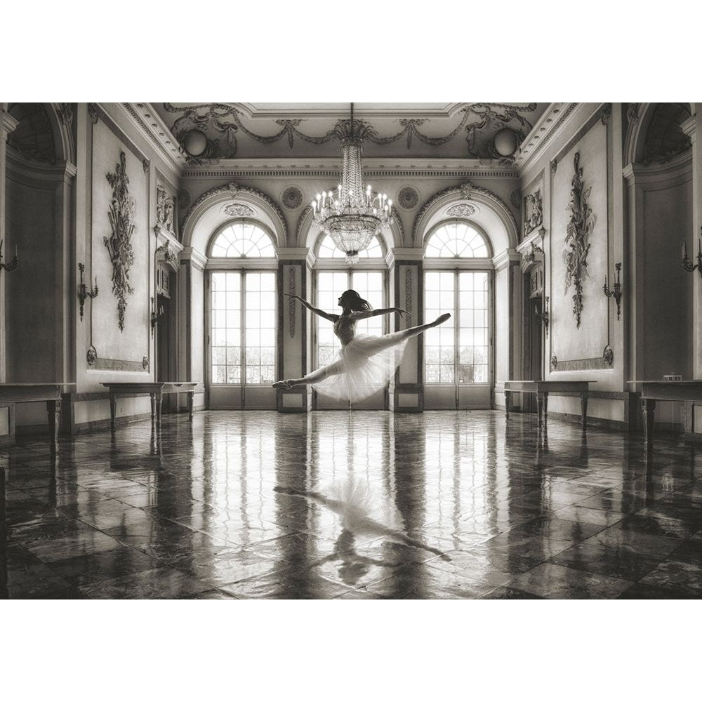 Ballerina in a palace hall Poster Print by Julian Lauren-VARPDX3AP5177 Image 1