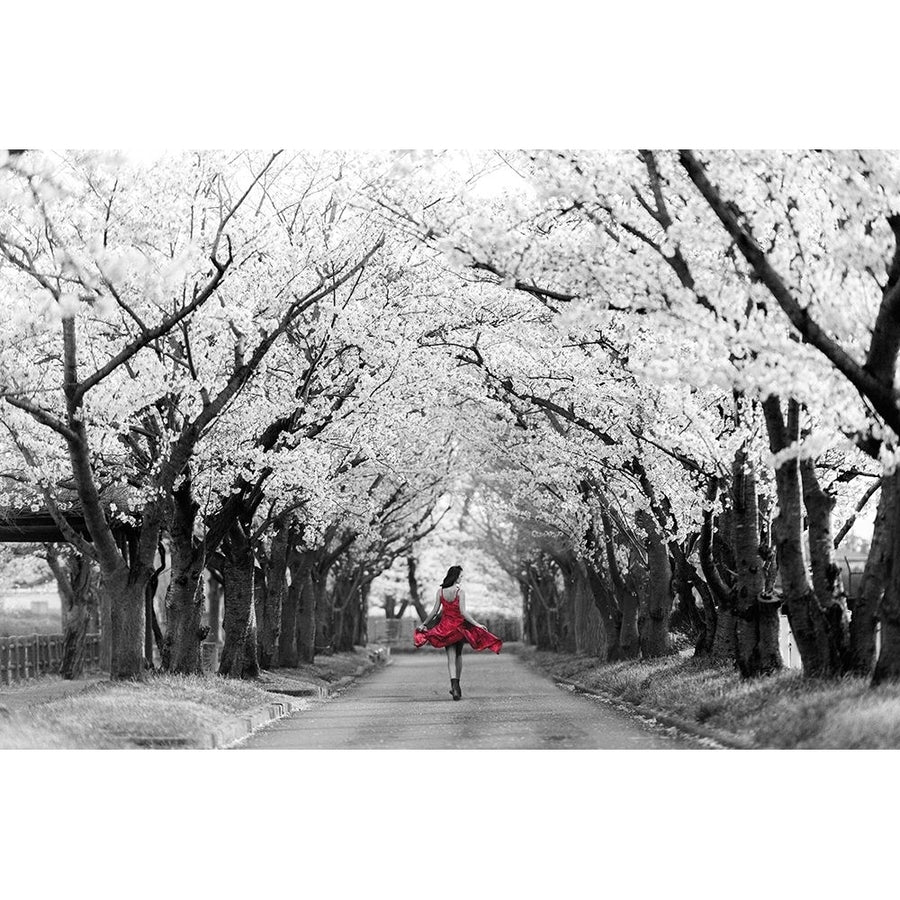 Sakura Girl Poster Print - Haute Photo Collection-VARPDX3AP6113 Image 1