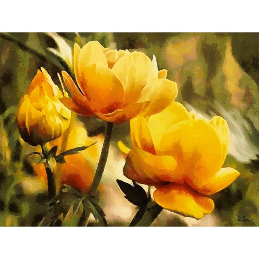 Yellow Flowers Poster Print - Celito Medeiros-VARPDX3CFM11604 Image 1