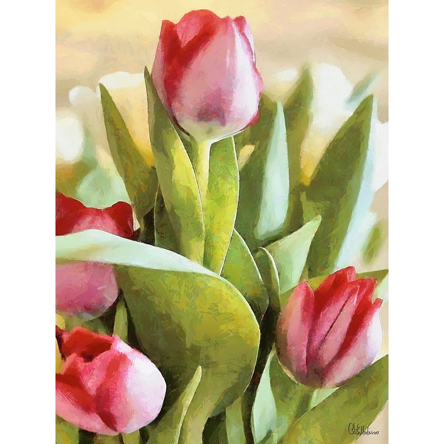 Just Tulips V Poster Print - Celito Medeiros-VARPDX3CFM11616 Image 1