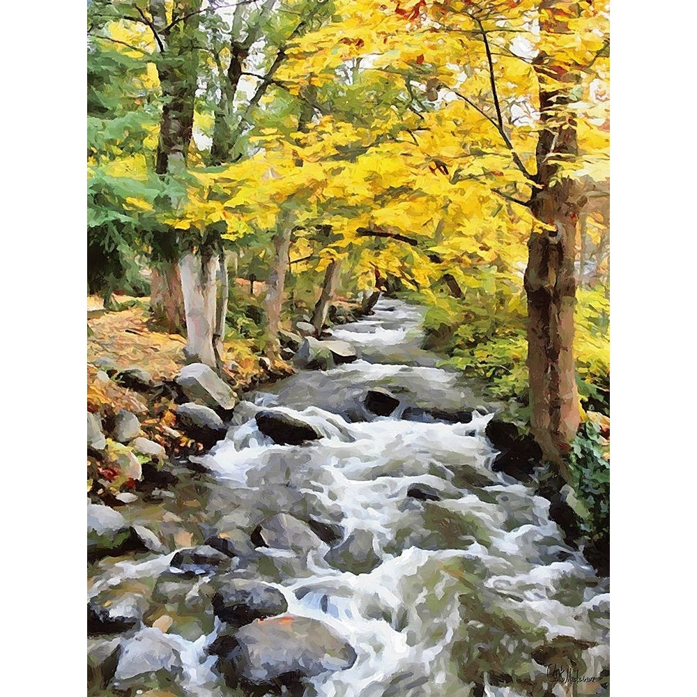 River in the Forest VIII Poster Print - Celito Medeiros-VARPDX3CFM19337 Image 1