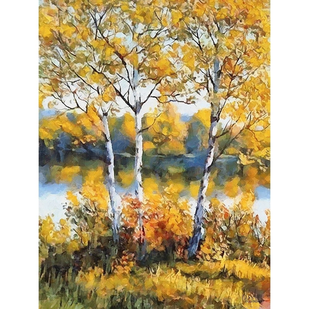 Beautiful Birches Poster Print - Celito Medeiros-VARPDX3CFM19325 Image 1