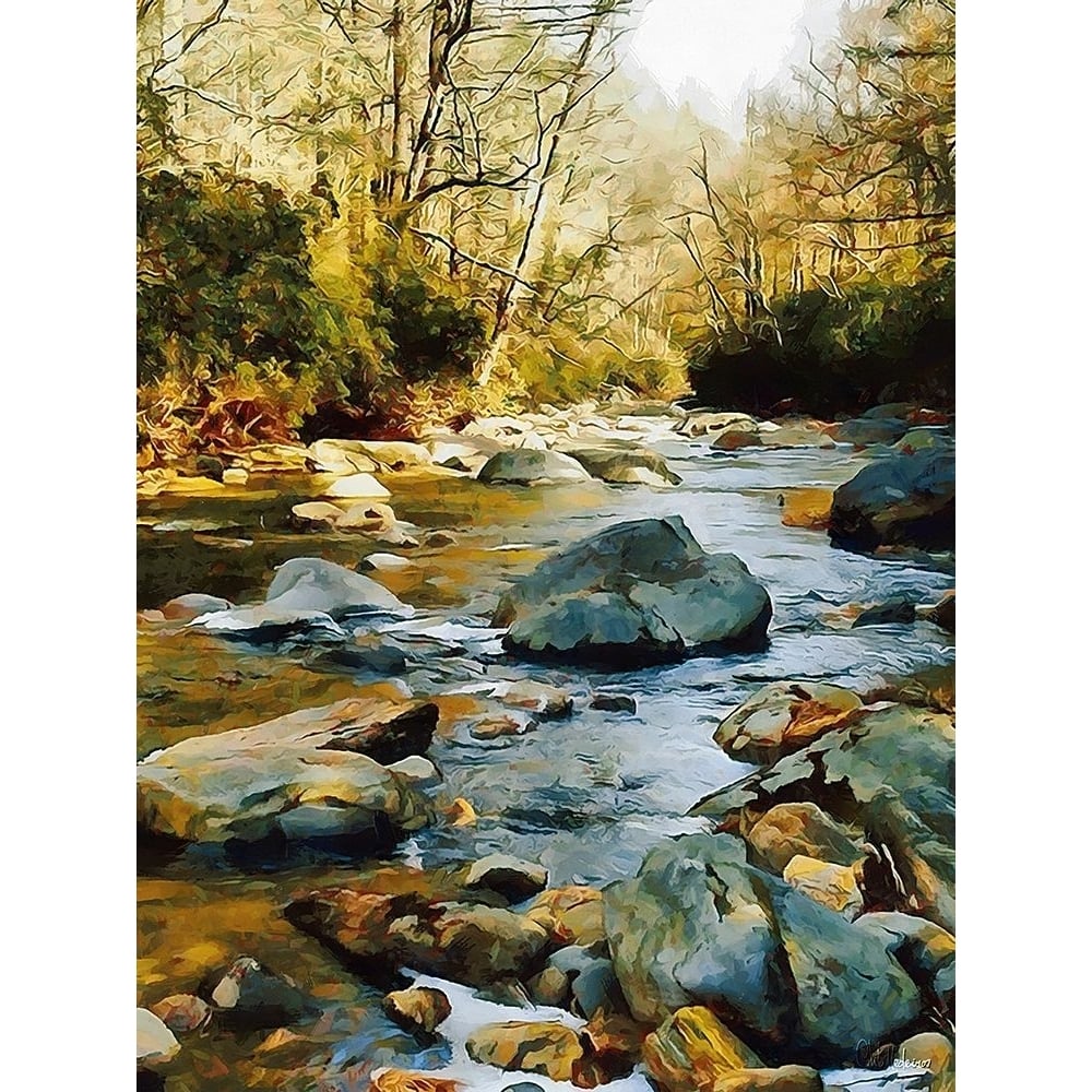 River in the Forest VII Poster Print - Celito Medeiros-VARPDX3CFM19336 Image 1