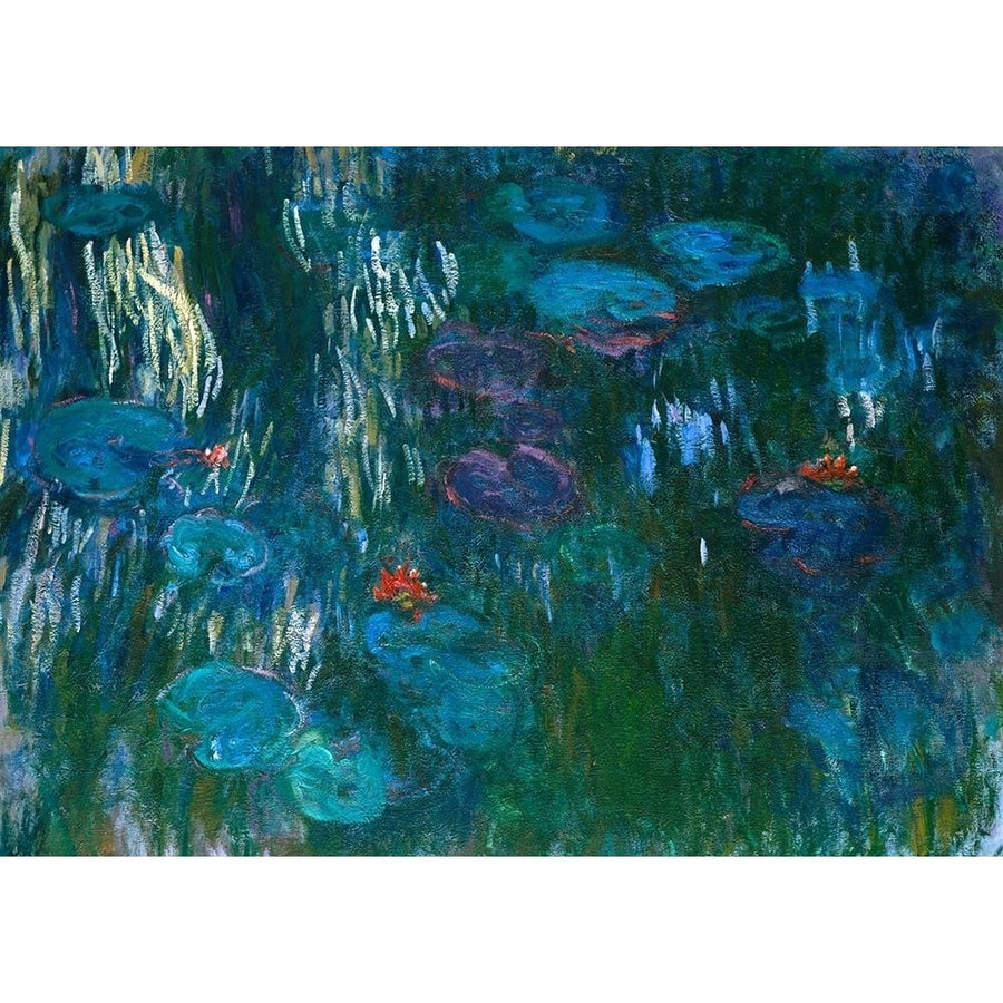 Water Lilies Poster Print by Monet Claude-VARPDX3CM4353 Image 1