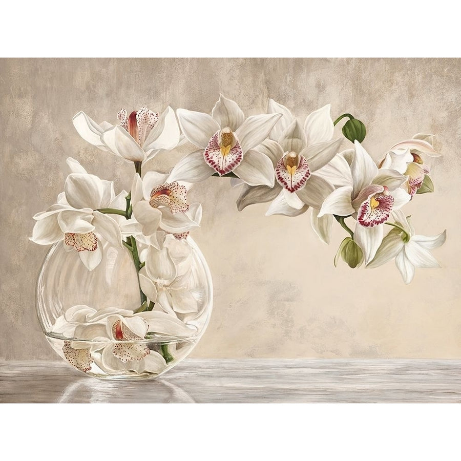 Orchid Vase Poster Print by Dellal Remy-VARPDX3DE4478 Image 1