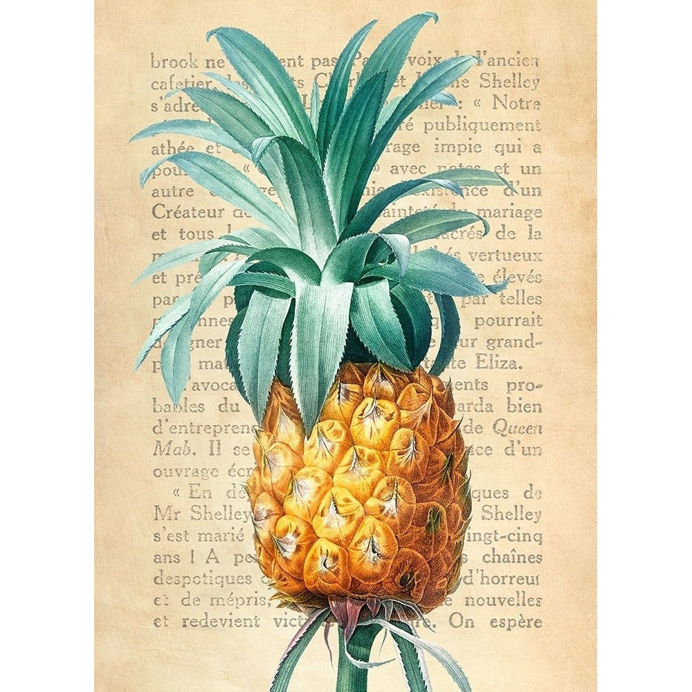 Pineapple- After Redoute Poster Print by Remy Dellal-VARPDX3DE5344 Image 1