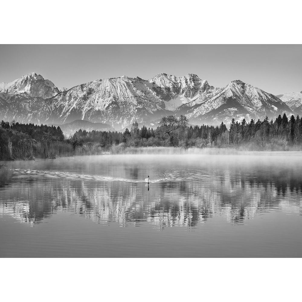 Allgaeu Alps And Hopfensee Lake Bavaria Germany-VARPDX3FK4224 Image 1