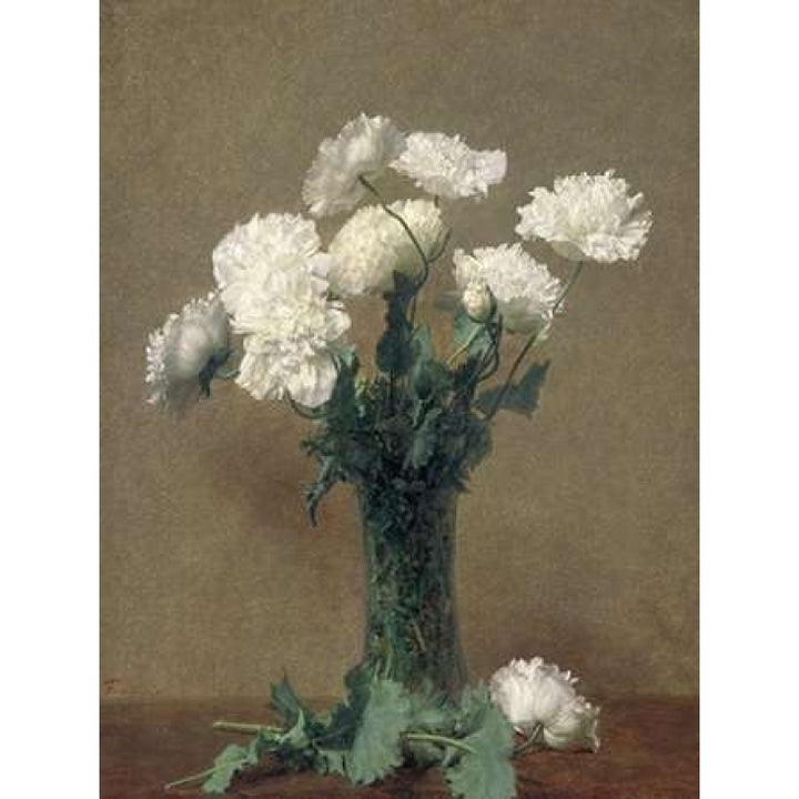 White Poppies Poster Print by Henri Fantin-Latour-VARPDX3FL2222 Image 1